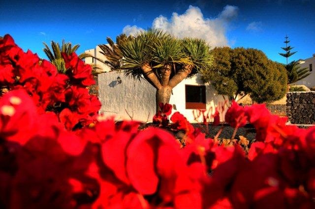 Bijzondere accommodaties Casita Los Divisos in Teguise (Lanzarote, Spanje)