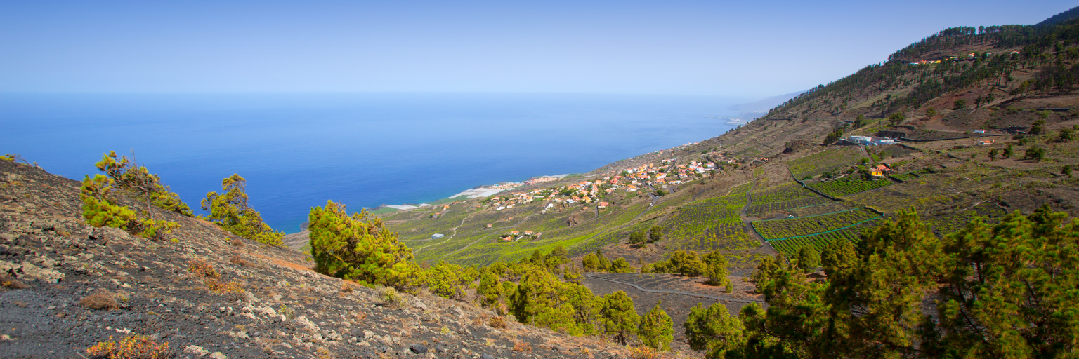 Wandelen La Palma